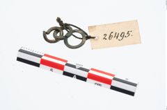 Foto von Bronzering (NHMW-PRAE-026495)